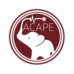 ACAPE - Association étudiante